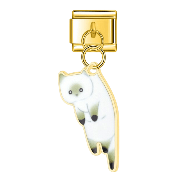 Dangling Kitten [ref:50317083574550]