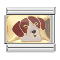 Beagle [ref:50317144654102]