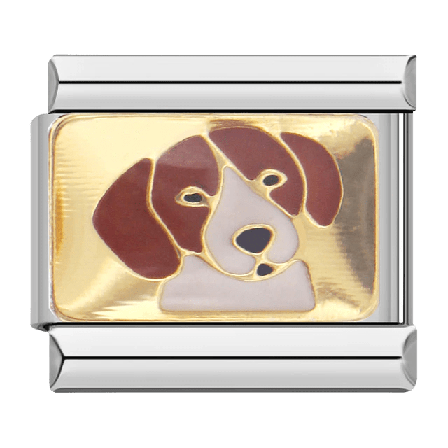 Beagle [ref:50317144654102]