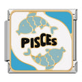 Pisces [ref:50384278880534]