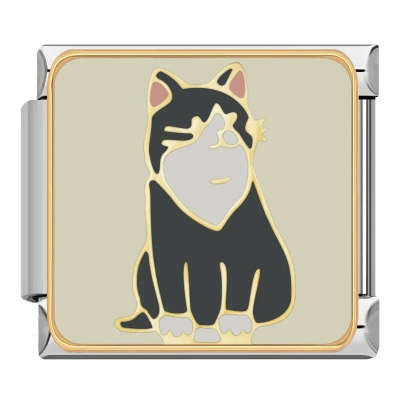 Black & White Cat [ref:50384701030678]