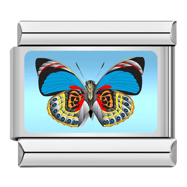 Butterfly [ref:50487379820822]