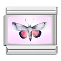 Butterfly [ref:50487379853590]