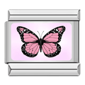 Butterfly [ref:50487379919126]