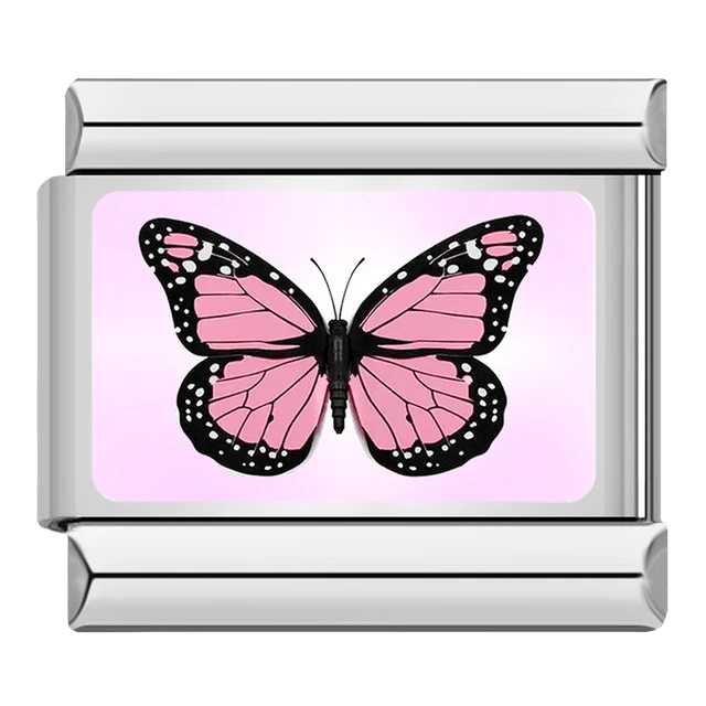 Butterfly [ref:50487379919126]