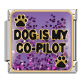 Dog is my co-pilot [ref:50487386374422]