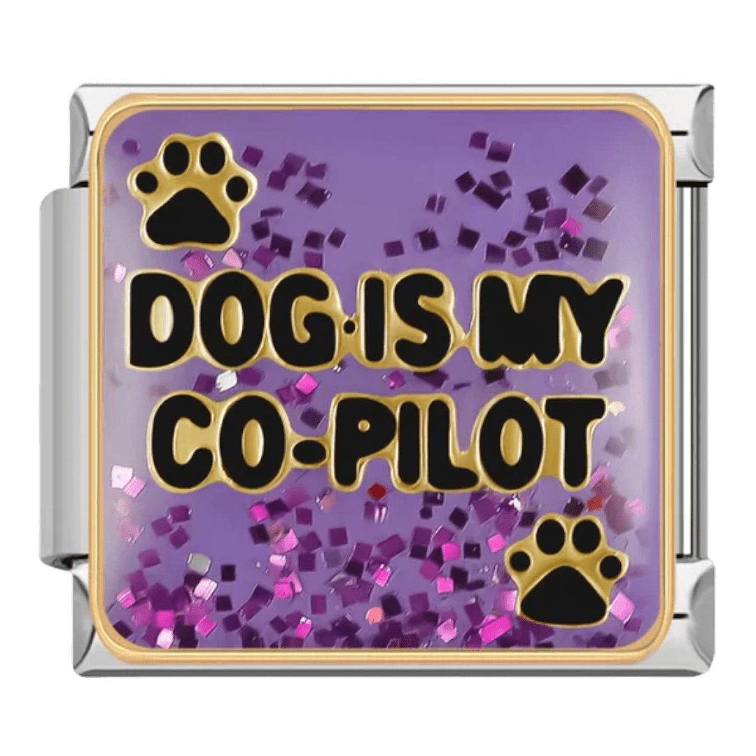 Dog is my co-pilot [ref:50487386374422]
