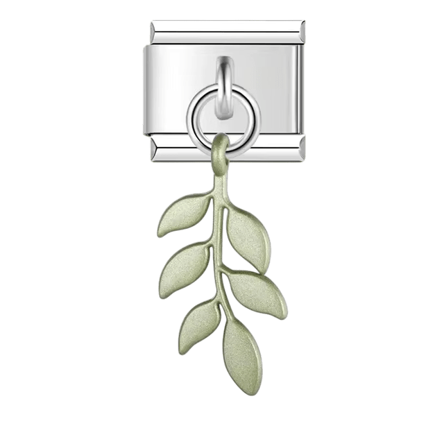 Dangling Fern [ref:50487432249622]