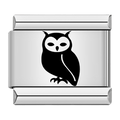 Owl [ref:50487439556886]