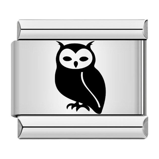 Owl [ref:50487439556886]