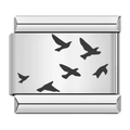 Birds [ref:50487442309398]