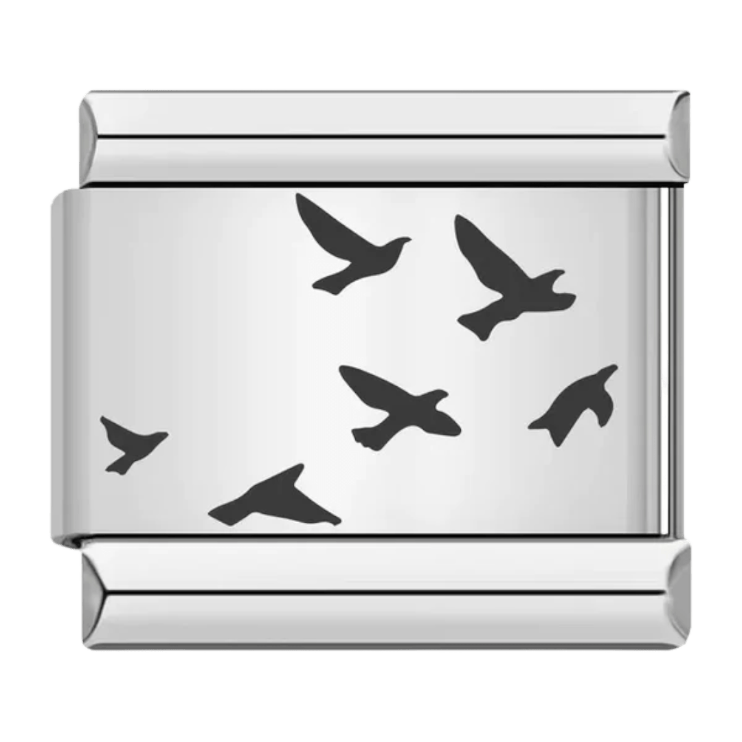 Birds [ref:50487442309398]