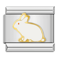 Bunny [ref:50487444930838]