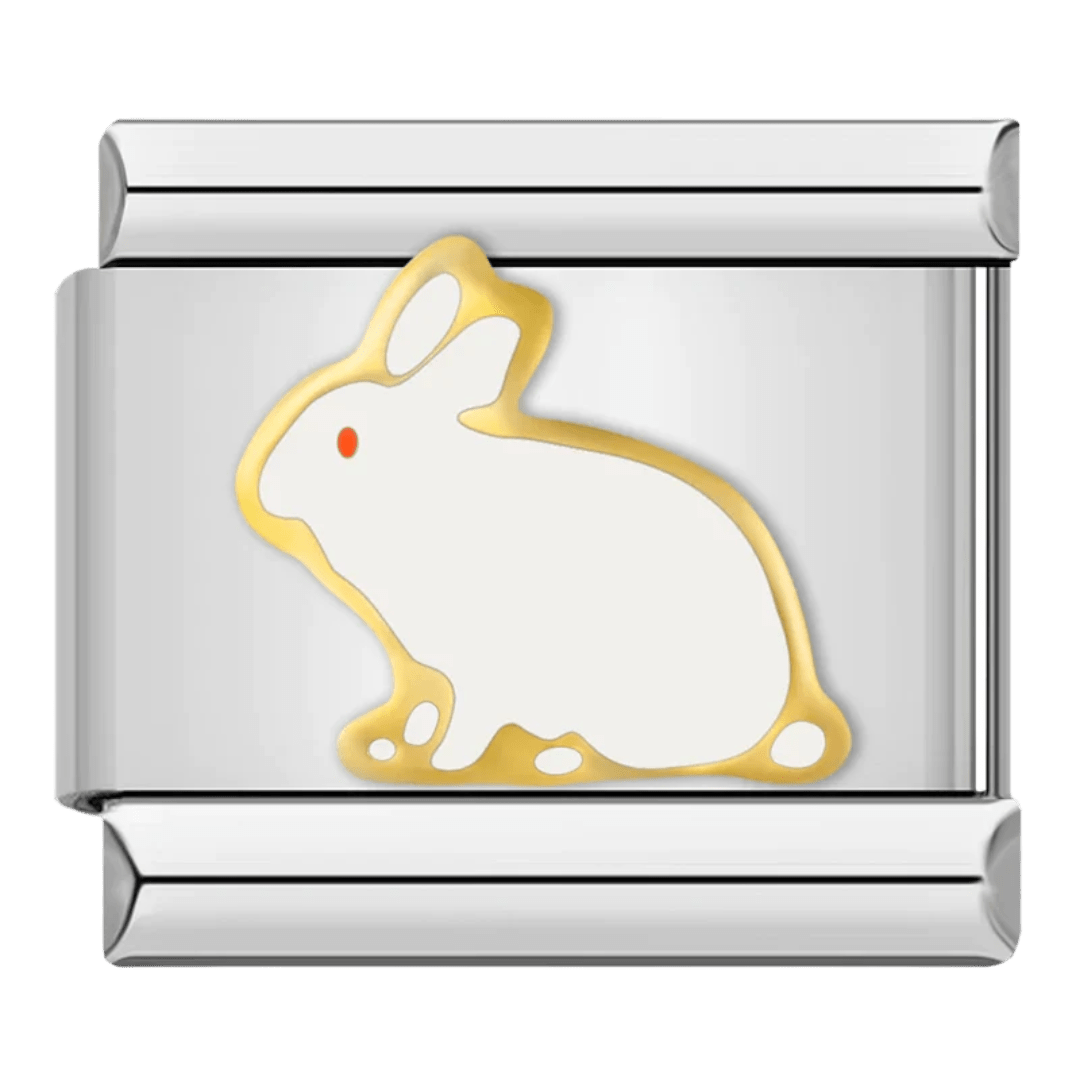 Bunny [ref:50487444930838]