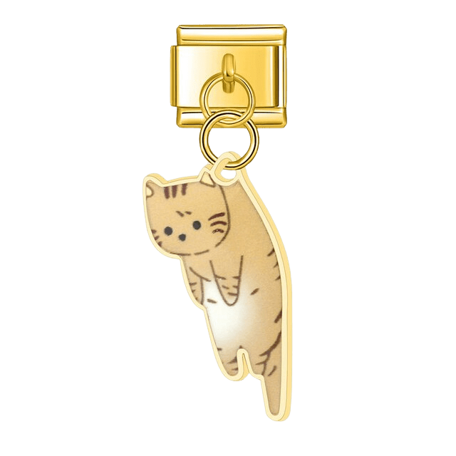 Dangling Tabby Kitten [ref:50487458824470]