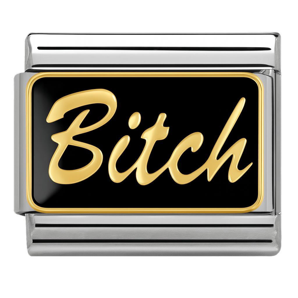 B*tch — Silver [ref:50487478321430]