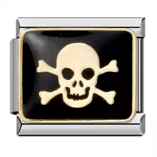 Skull with bones [ref:50487484842262]