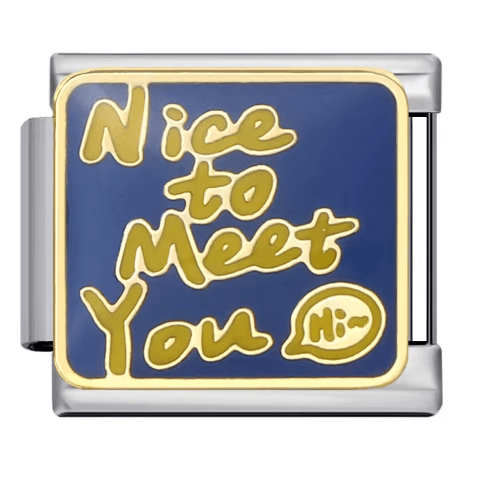 Nice To Meet You [ref:50487500439830]