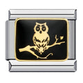 Owl [ref:50487520592150]