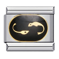 Tadpole [ref:50487524753686]