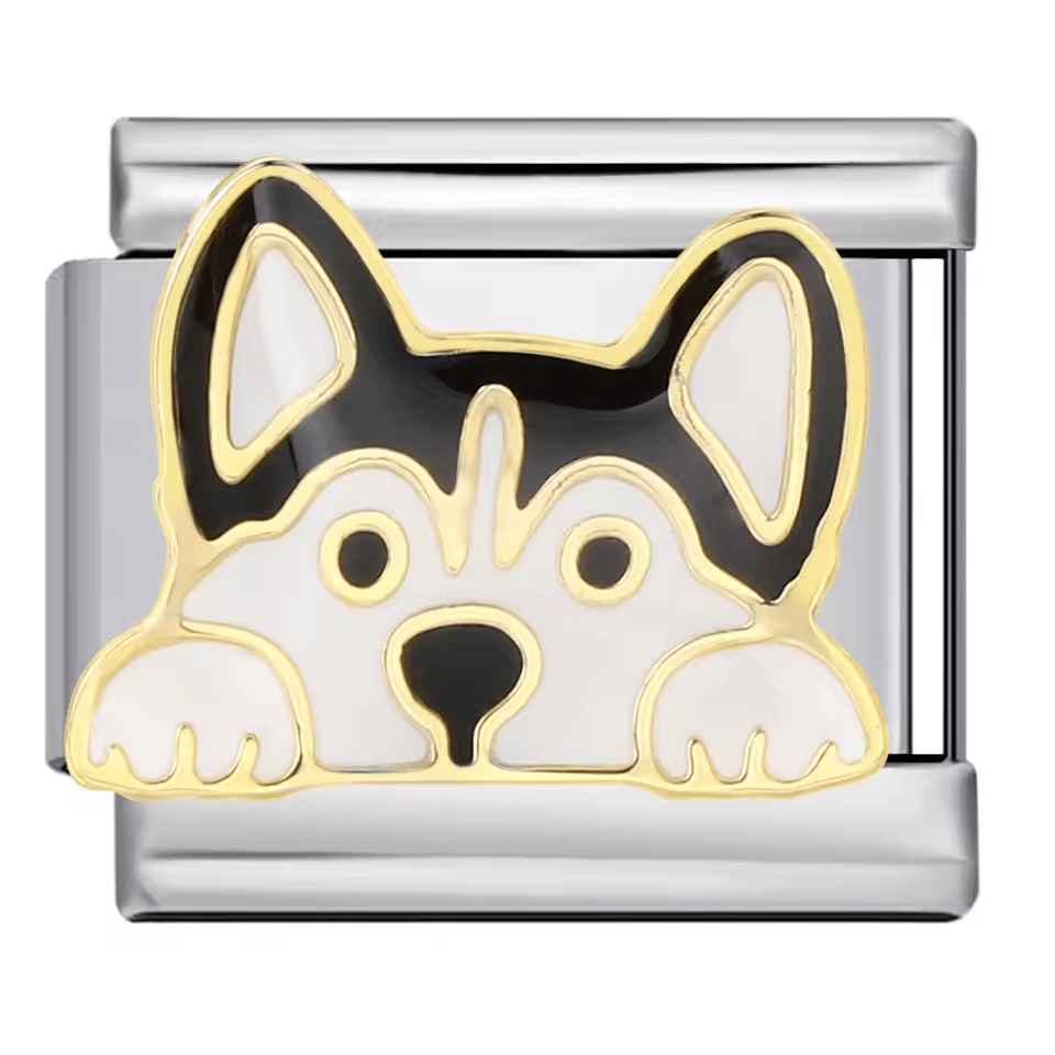Dog [ref:50487528718614]