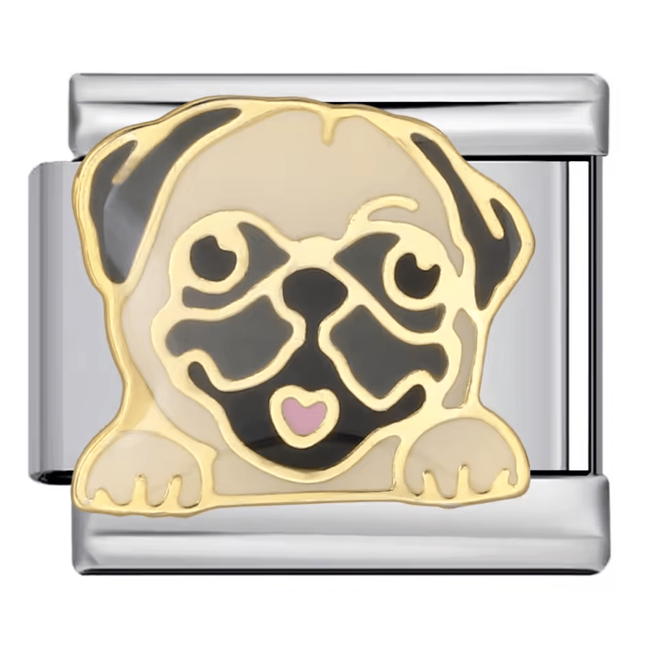 Pug [ref:50487528784150]