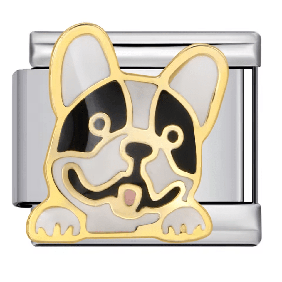 French Bulldog [ref:50487530389782]