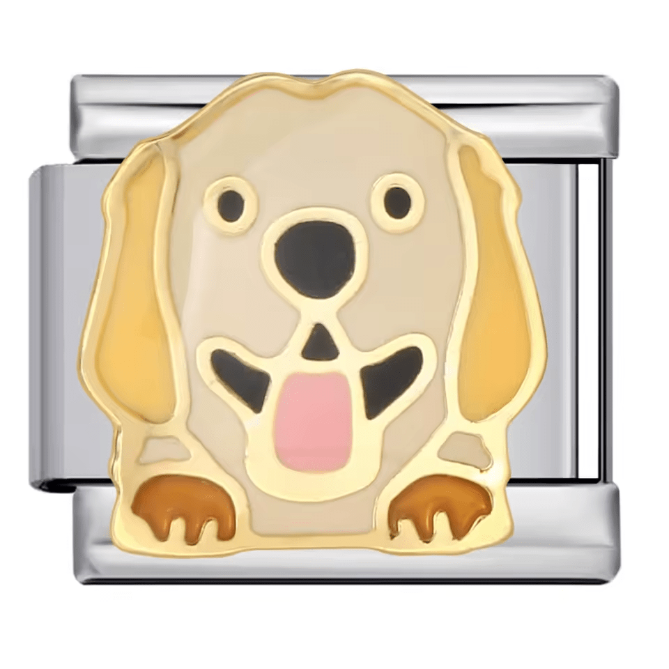Golden Retriever [ref:50487530488086]