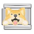 Shibu Inu [ref:50487532388630]