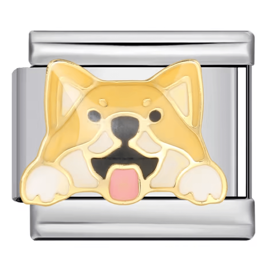 Shibu Inu [ref:50487532388630]
