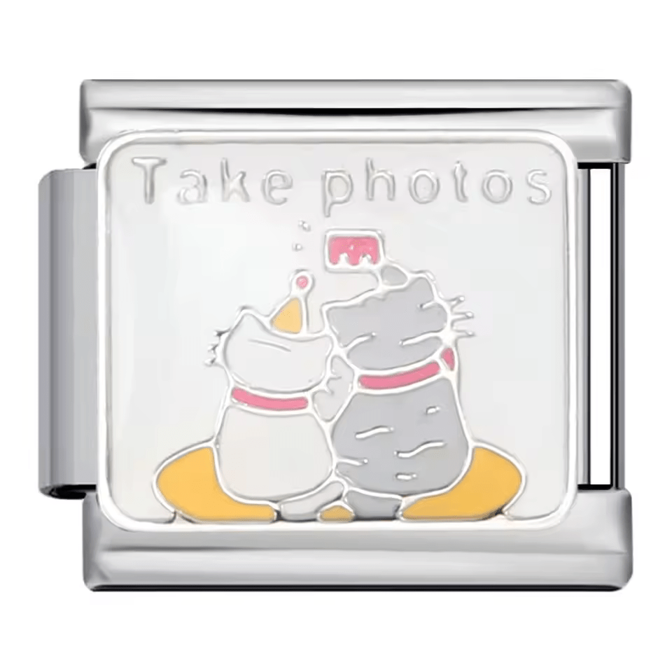 Take Photos [ref:50487546904854]