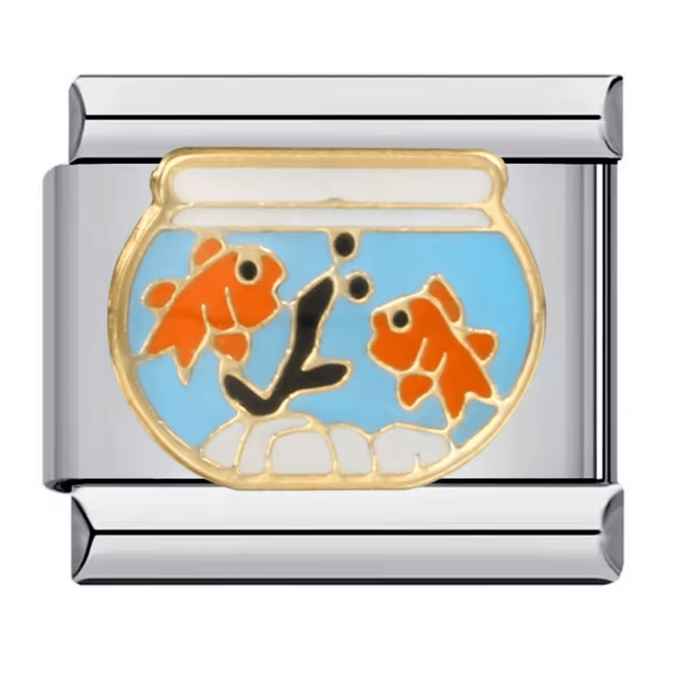 Fishbowl [ref:50487567188246]