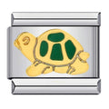 Turtle [ref:50487571218710]