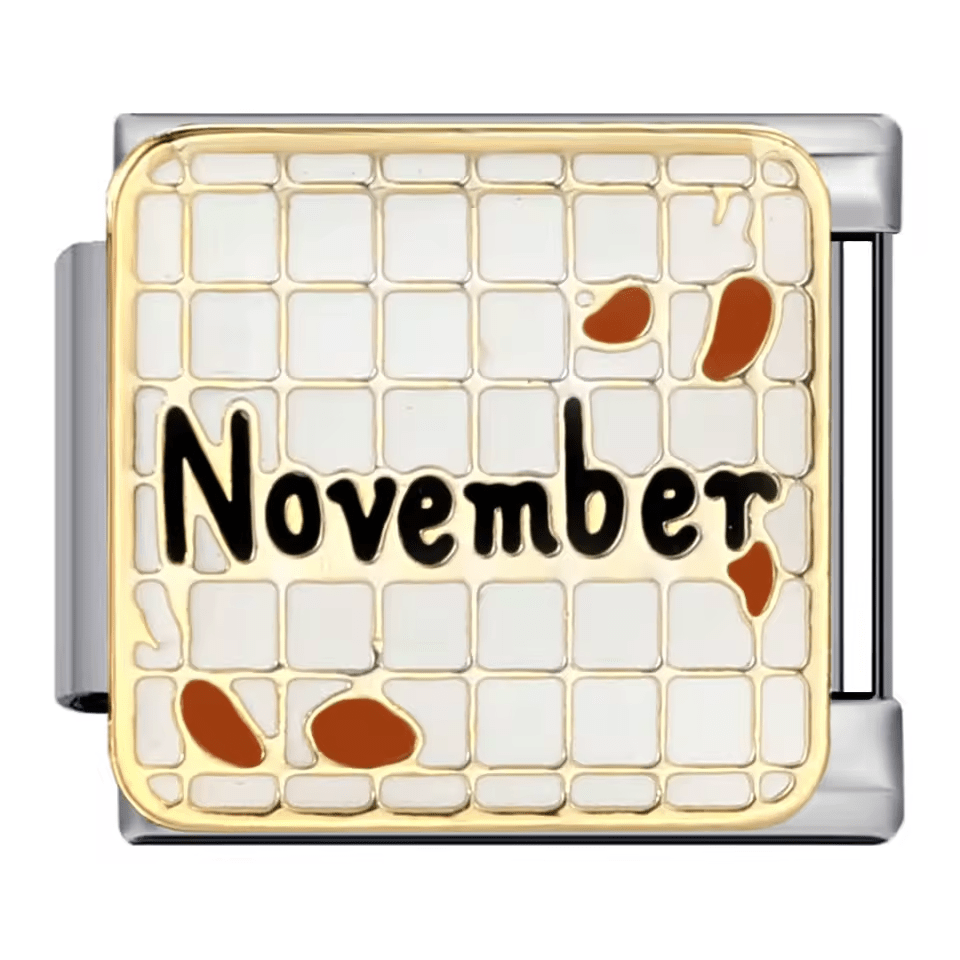 November [ref:50487576068374]
