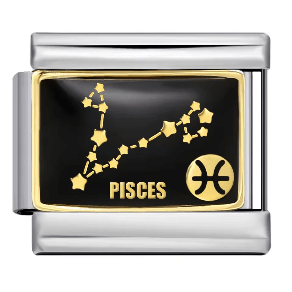 Pisces [ref:50487580131606]