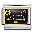 Leo [ref:50487583244566]