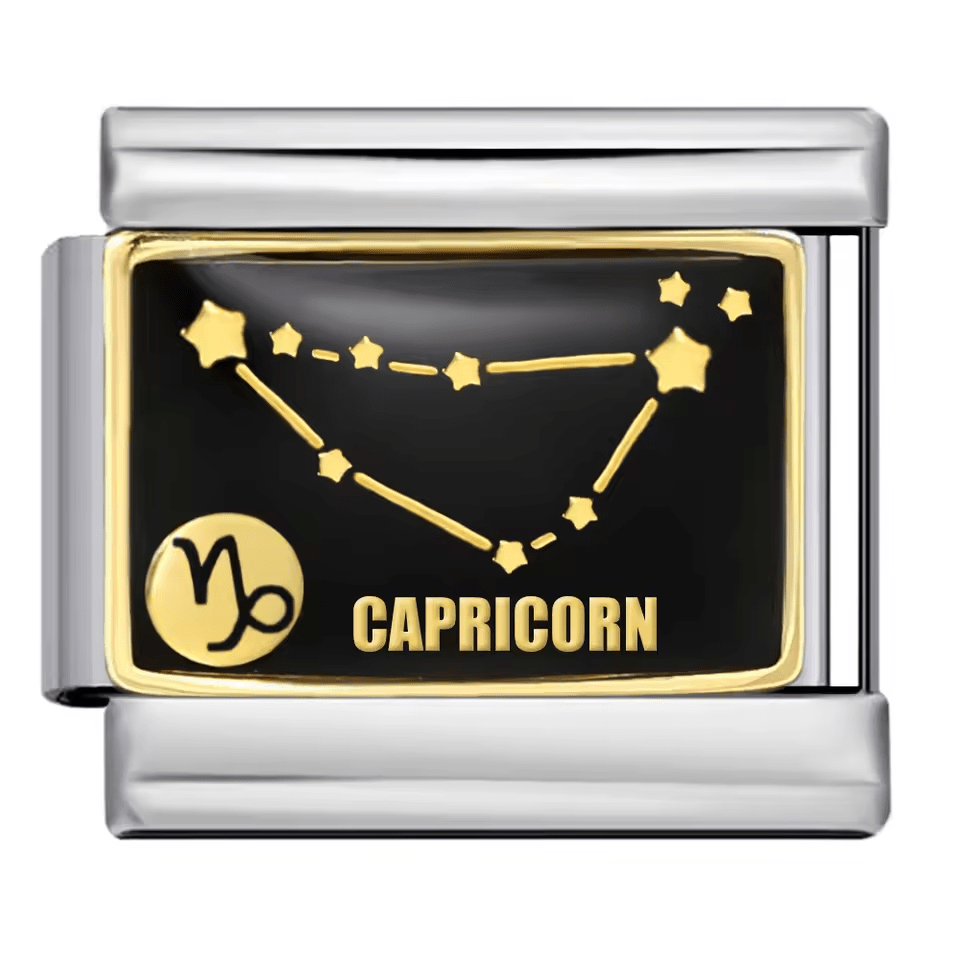 Capricorn [ref:50487584489750]