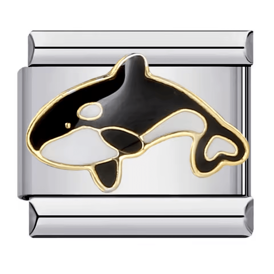 Orca [ref:50487620993302]