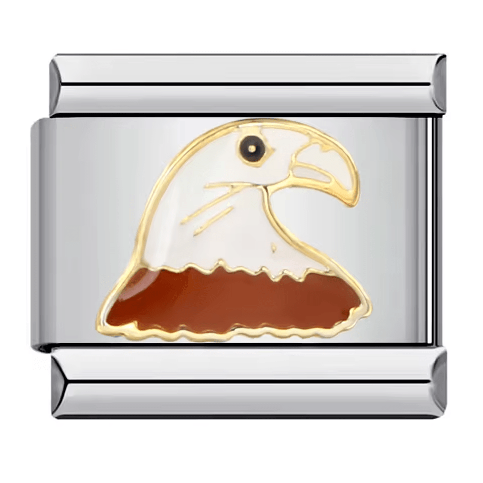 Eagle [ref:50487621681430]