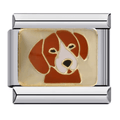 Dog [ref:50487621779734]