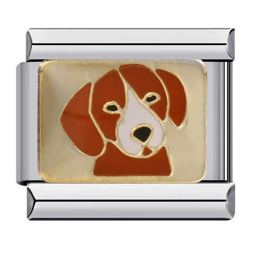 Dog [ref:50487621779734]
