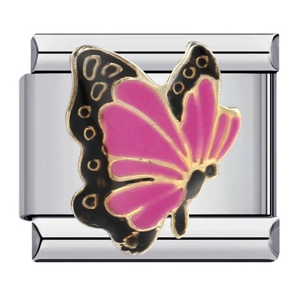 Butterfly [ref:50487636427030]