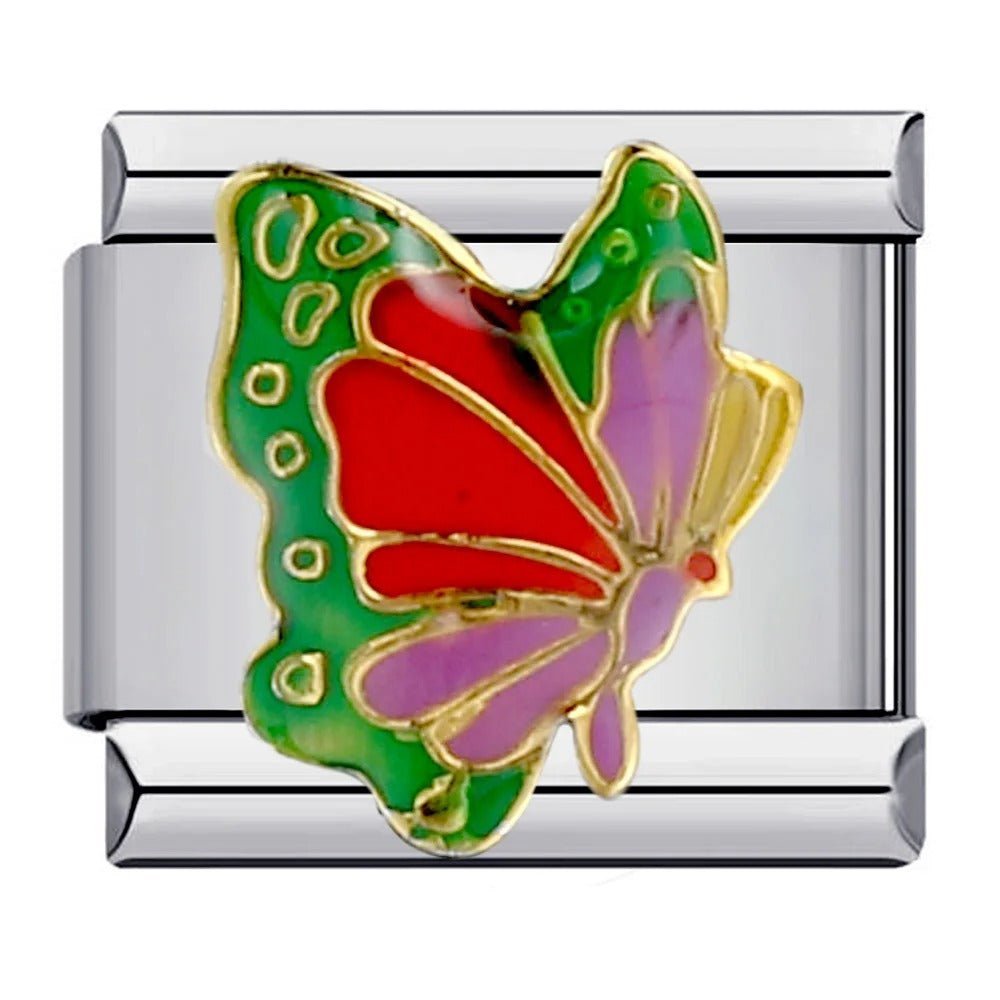 Butterfly [ref:50487637573910]