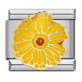 Yellow Chrysanthemum [ref:50541519864086]