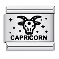 Capricorn [ref:50562372305174]