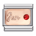 January Birthstone [ref:50563067281686]