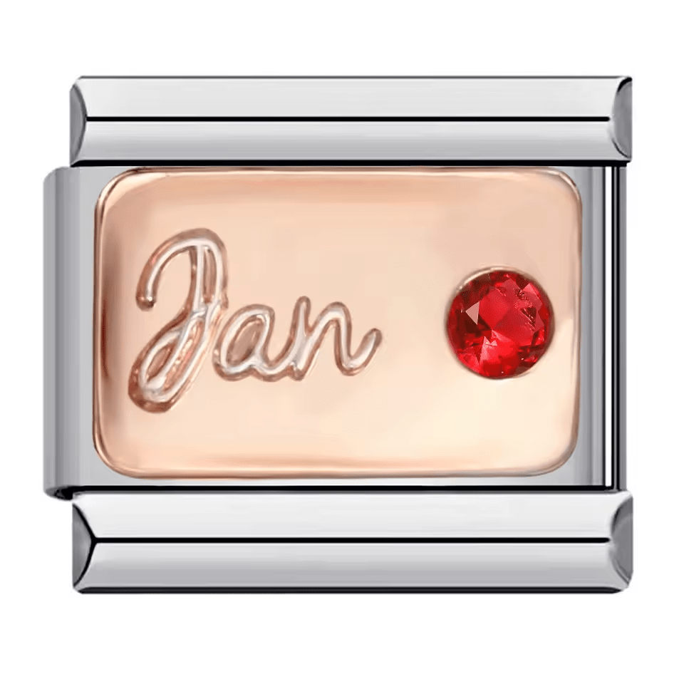 January Birthstone [ref:50563067281686]