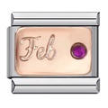 February Birthstone [ref:50563070886166]