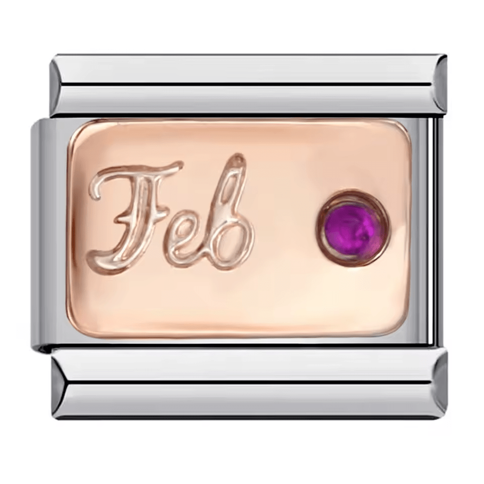 February Birthstone [ref:50563070886166]