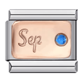 September Birthstone [ref:50563144220950]